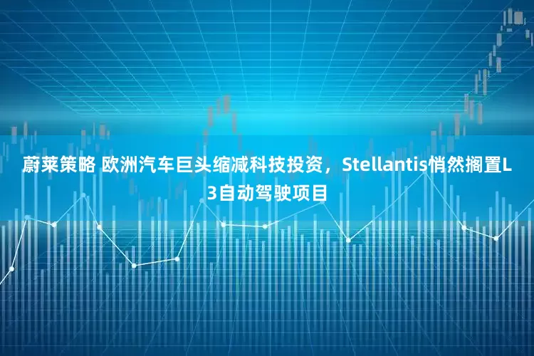 蔚莱策略 欧洲汽车巨头缩减科技投资，Stellantis悄然搁置L3自动驾驶项目